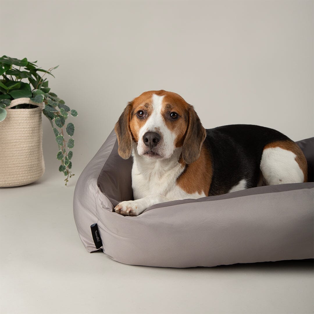 Expedition Water Resistant Box Bed - Storm Grey Dog Bed Scruffs® 