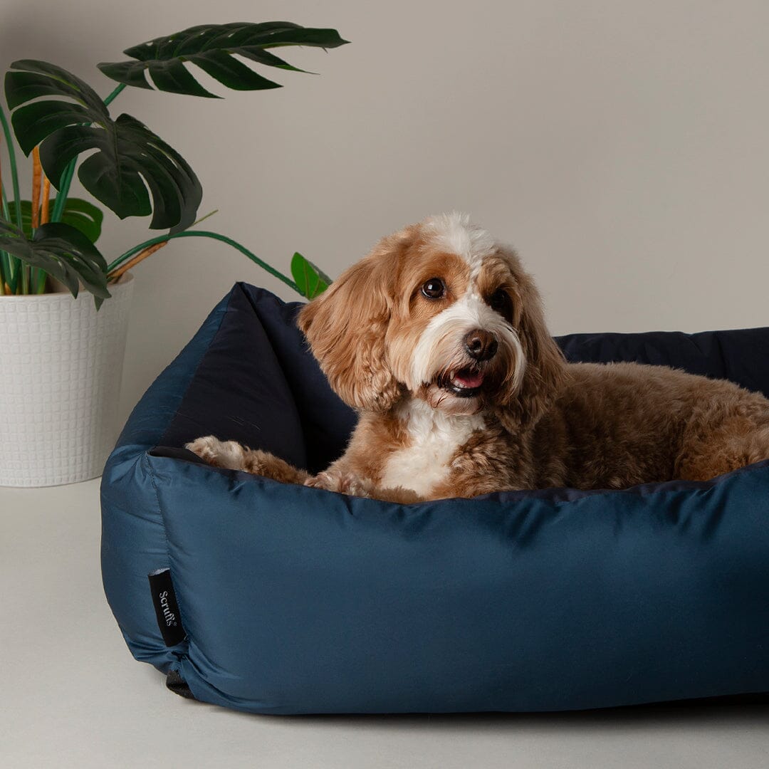 Expedition Water Resistant Box Bed - Atlantic Blue Dog Bed Scruffs® 