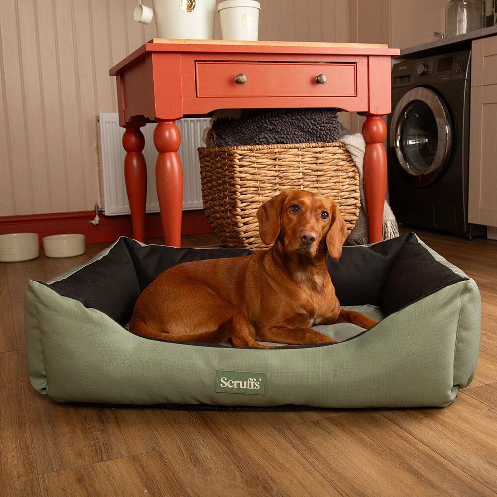 Scruffs Expeditionsbett Für Hunde (Größe M, 60x50 Cm) – Wasserabweisend, Recycelt Gefüllt, Perfekt Für Reisen & Zuhause