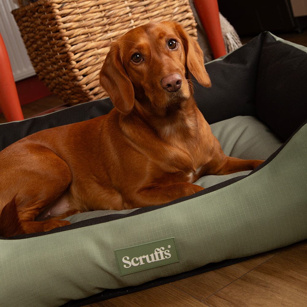 Scruffs Chester Box Bed mand - Grafiet online kopen Scruffs Chester Box Bed mand - Grafiet online kopen