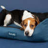 Expedition Box Bed - Atlantic Blue Dog Bed Scruffs 