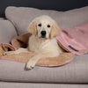 Snuggle Blanket - Blush Pink Dog Blanket Scruffs® 