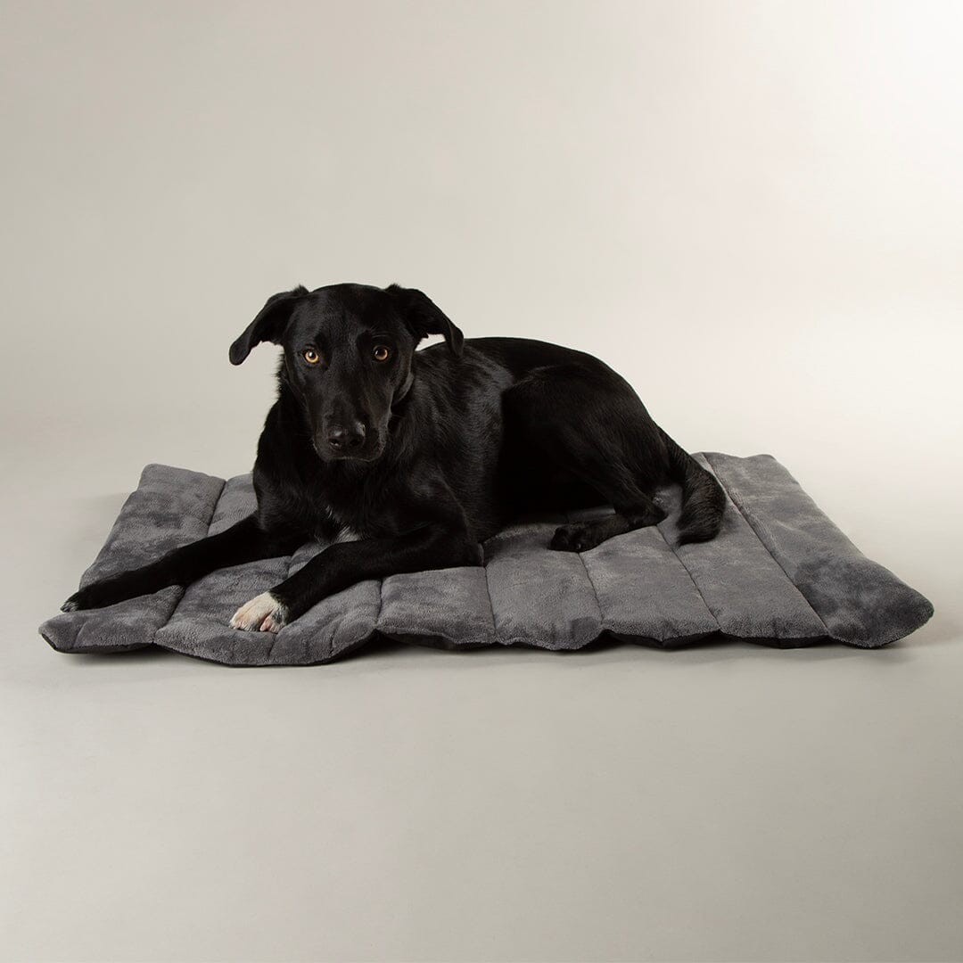 Expedition Water Resistant Roll Up Travel Pet Bed Khaki Green