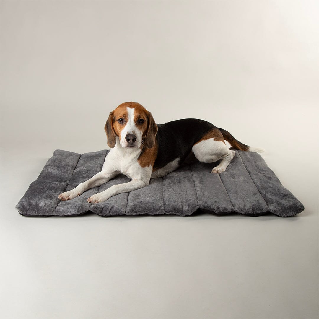 Expedition Water Resistant Roll Up Travel Pet Bed Storm