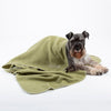 Expedition Fleece Pet Blanket - Khaki Green Scruffs® 