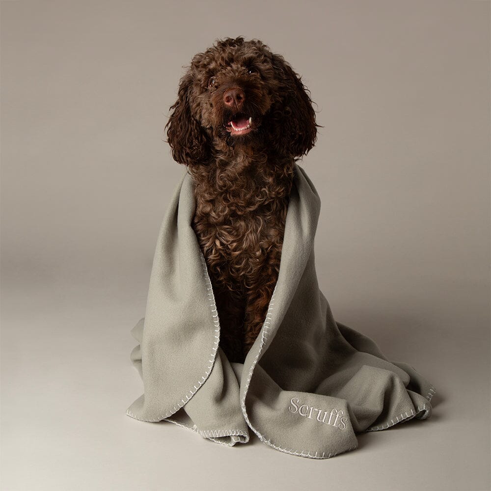 Expedition Fleece Pet Blanket Storm