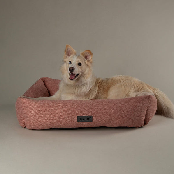 Seattle Box Bed - Coral Pink Dog Bed Scruffs® 