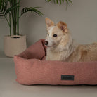 Seattle Box Bed - Coral Pink Dog Bed Scruffs® 