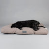 Seattle Mattress - Stone Grey Dog Bed Scruffs® 