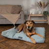 Seattle Mattress - Topaz Green Dog Bed Scruffs® 