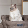 Seattle Cat Bed - Stone Grey Cat Bed Scruffs® 