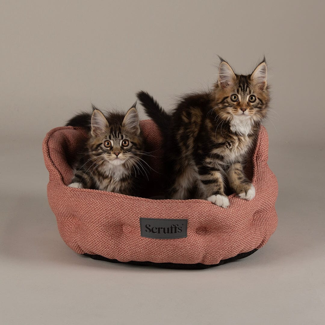 Seattle Cat Bed Coral