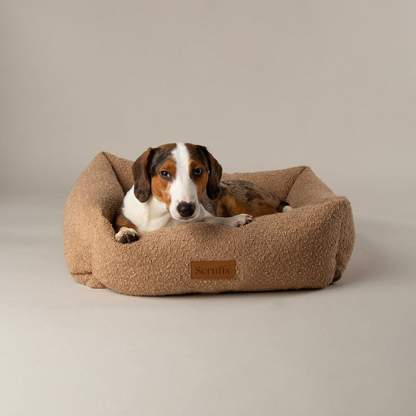 Boucle Box Bed - Desert Brown Dog Bed Scruffs® 