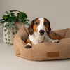 Boucle Box Bed - Desert Brown Dog Bed Scruffs® 