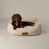 Boucle Box Bed - Ivory Dog Bed Scruffs® 