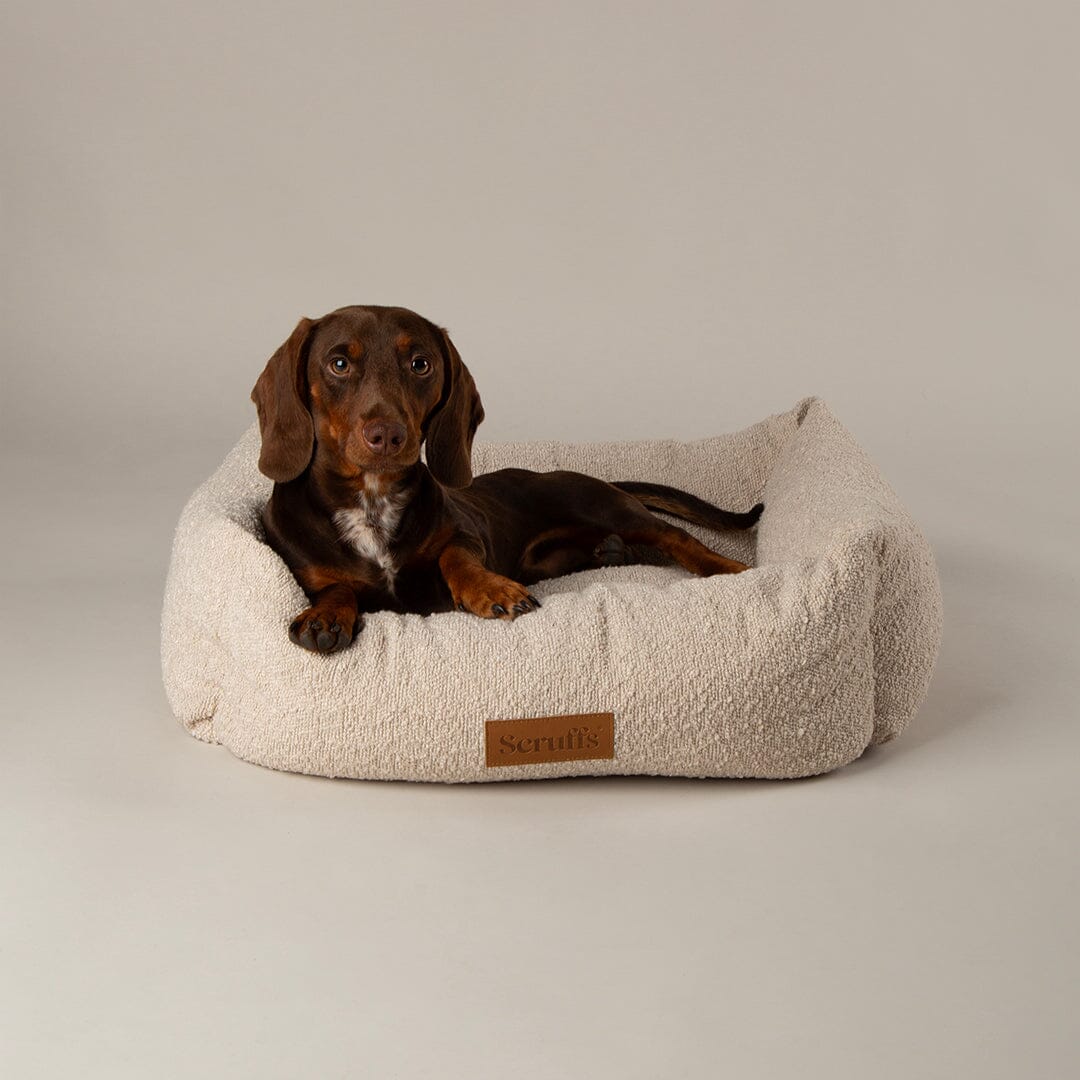 Boucle Box Bed - Ivory Dog Bed Scruffs® 