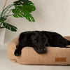 Boucle Box Bed - Desert Brown Dog Bed Scruffs® 