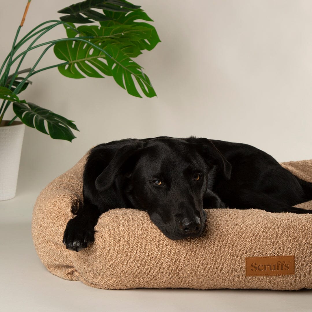 Boucle Box Bed - Desert Brown Dog Bed Scruffs® 