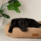 Boucle Box Bed - Desert Brown Dog Bed Scruffs® 