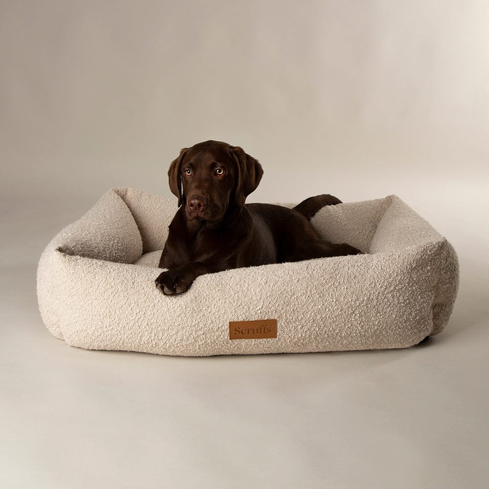 Boucle Box Bed