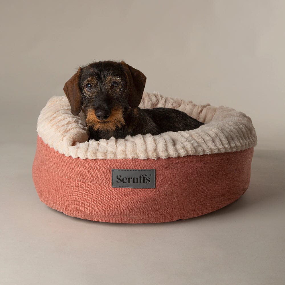 Ellen Donut Bed Terracotta
