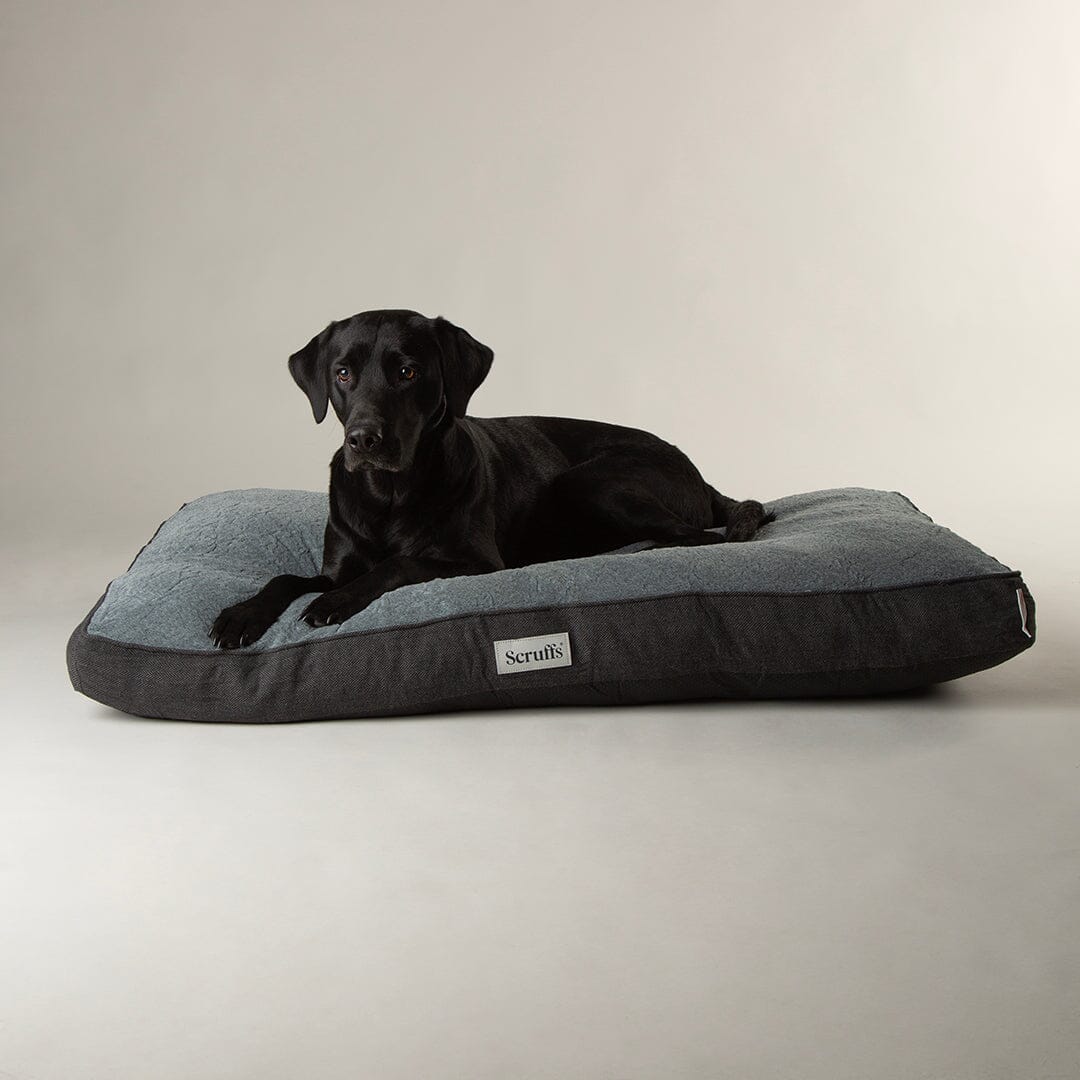 Harvard Memory Foam Mattress Graphite