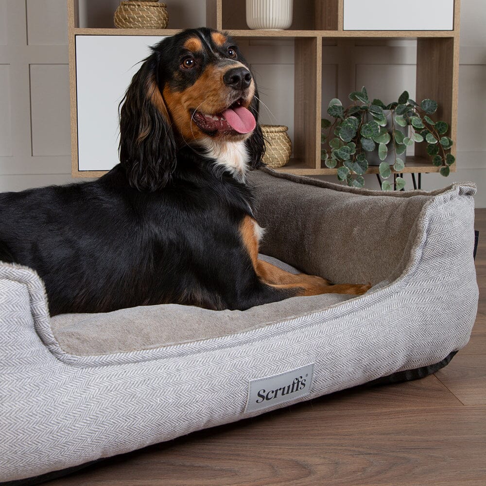 Harvard Memory Foam Dog Box Bed Pearl Grey Dog Beds petslovescruffs