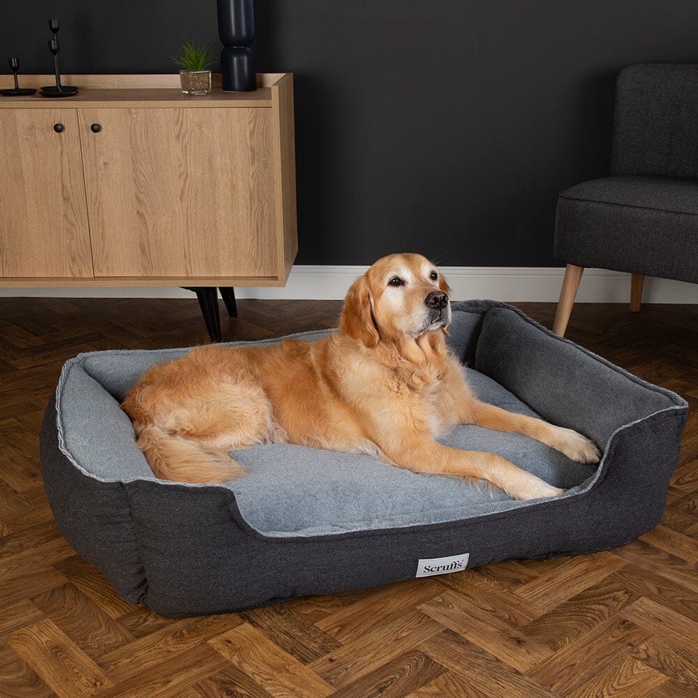 Harvard Memory Foam Dog Box Bed Grey Dog Beds petslovescruffs