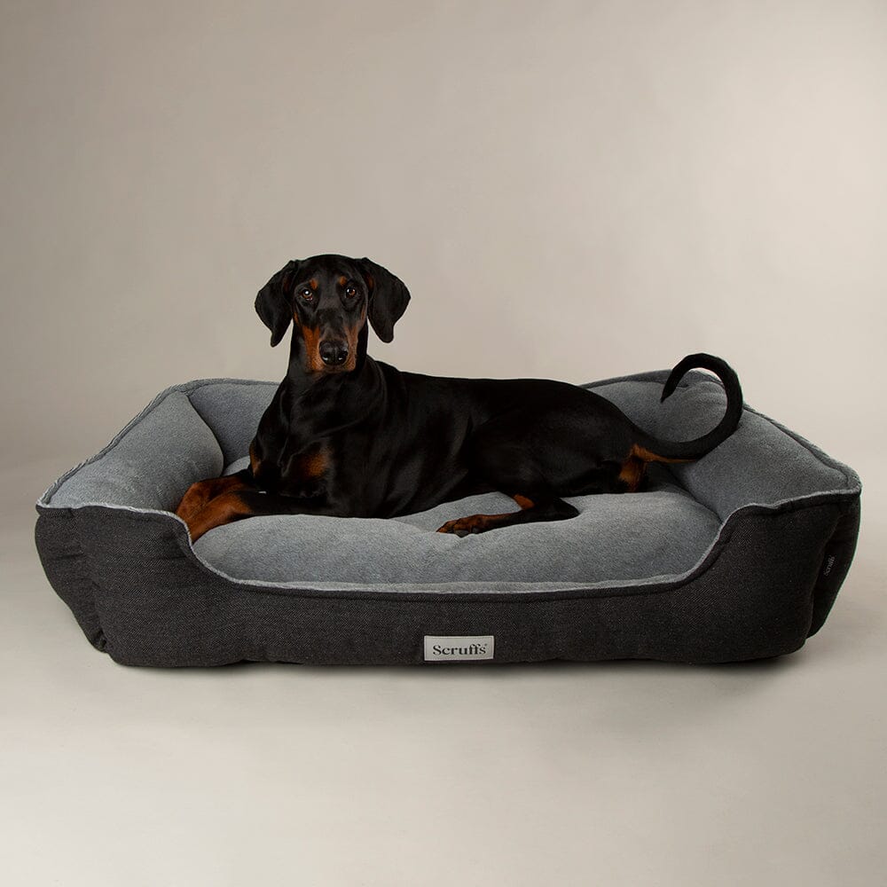 Harvard Memory Foam Box Bed Graphite