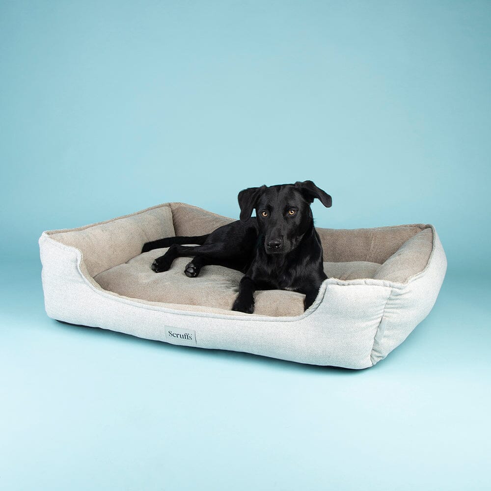 Scruffs® Harvard Memory Foam Box Bed petslovescruffs