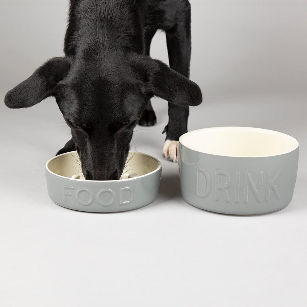 Classic 2 Piece Dog Slow Feeder & Water Bowl Set 20cm