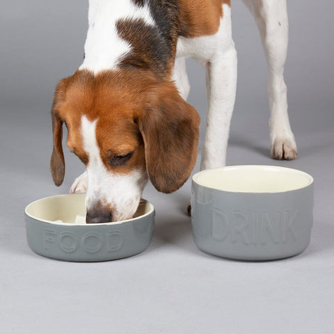 Classic 2 Piece Dog Slow Feeder & Water Bowl Set - 16cm | 15cm - Grey Pet Bowls, Feeders & Waterers Scruffs® 