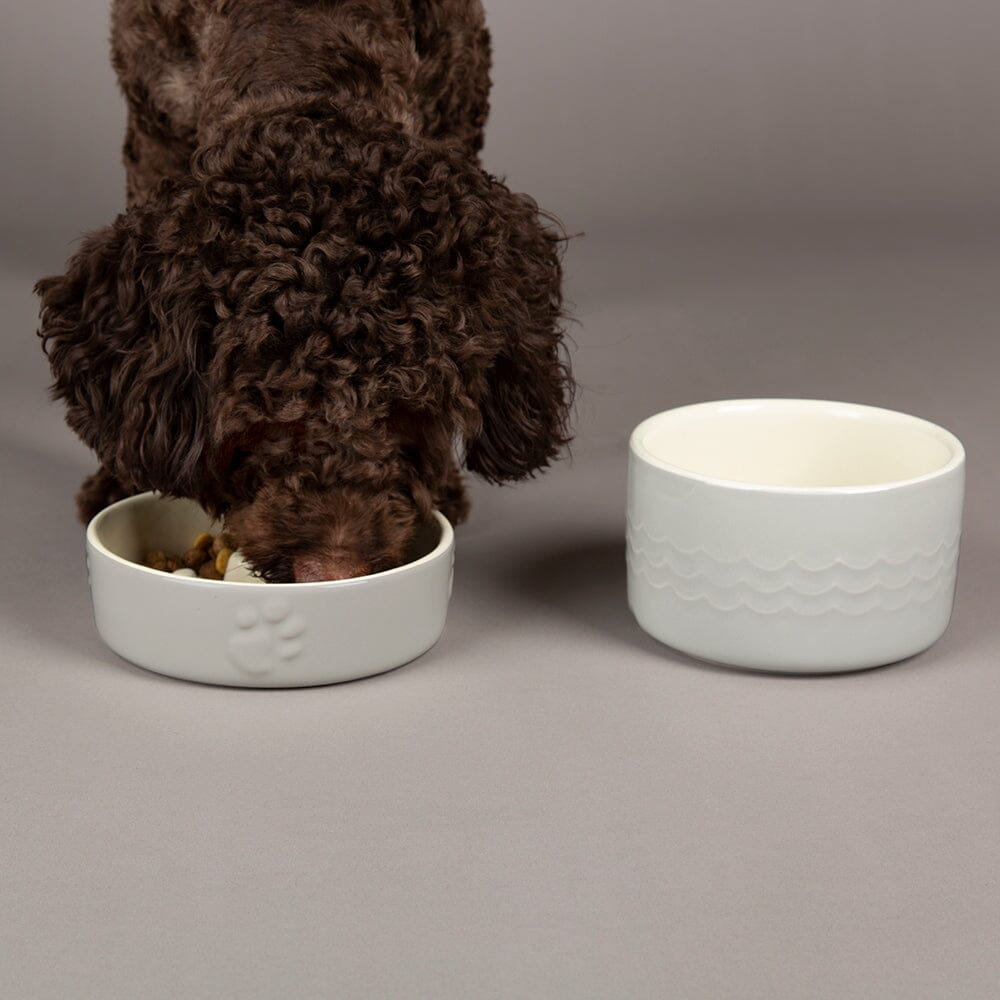 Icon 2 Piece Dog Slow Feeder & Water Bowl Set - 16cm | 15cm - Light Grey Pet Bowls, Feeders & Waterers Scruffs® 