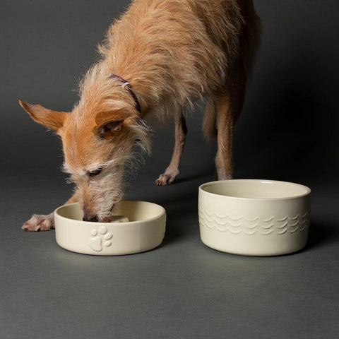 Icon 2 Piece Dog Slow Feeder & Water Bowl Set - 20cm - Cream Pet Bowls, Feeders & Waterers Scruffs® 