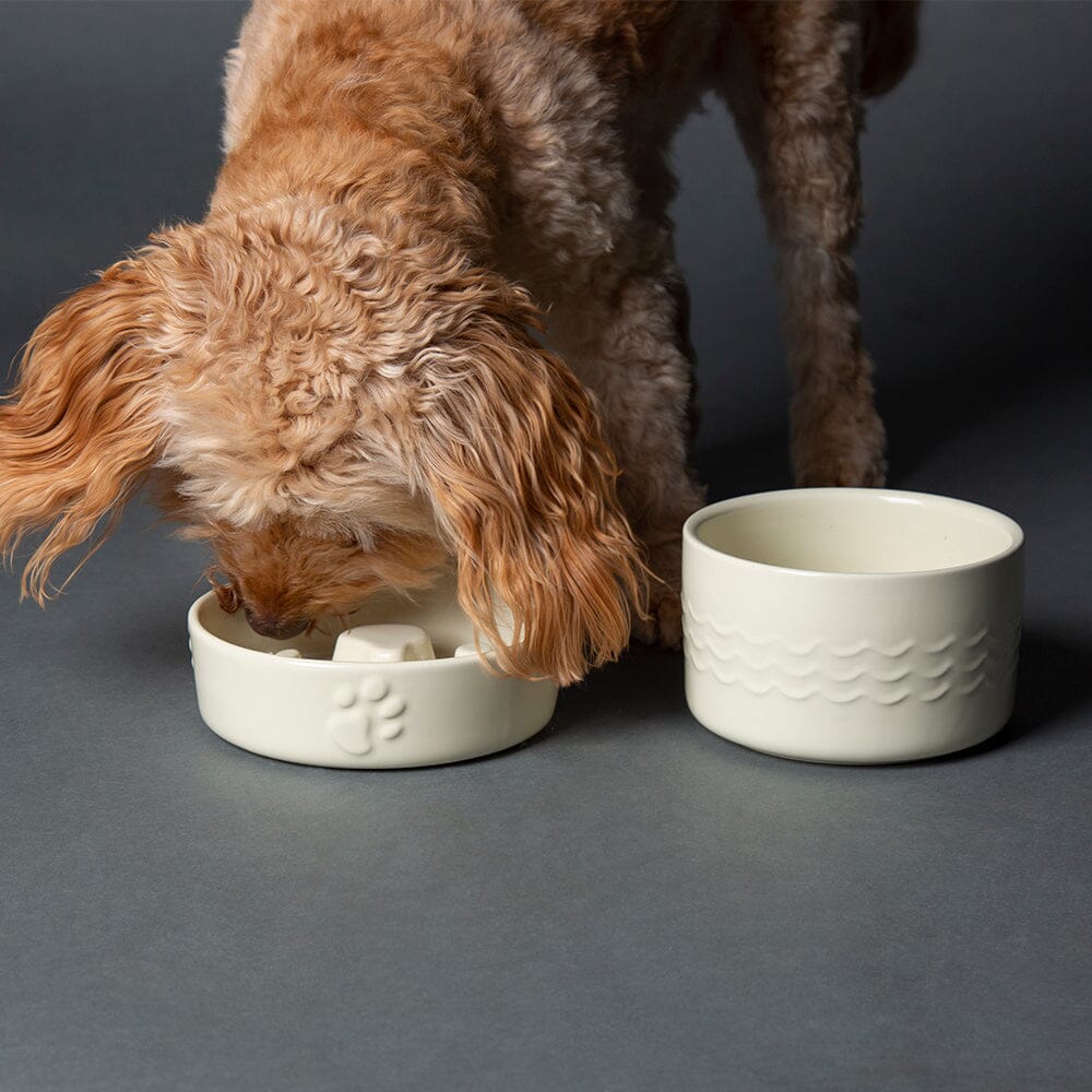 Icon 2 Piece Dog Slow Feeder & Water Bowl Set 16cm 15cm