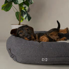 Eden 100% Recycled Box Bed - Charcoal Grey Dog Beds Scruffs® 