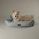 Coastal Box Bed - Blue Dog Beds Scruffs® 