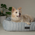 Coastal Box Bed - Blue Dog Beds Scruffs® 