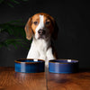 Reactive Glaze 2 Piece Dog Food & Water Bowl Set - Midnight Blue Pet Bowls, Feeders & Waterers Scruffs® 15 x 15 x 5cm | 0.5L 