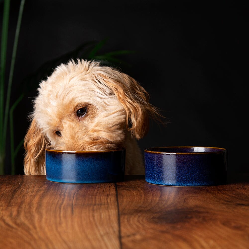 Reactive Glaze 2 Piece Dog Food & Water Bowl Set Midnight