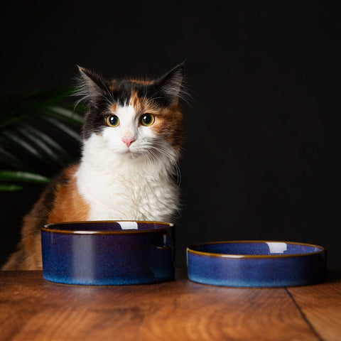 Reactive Glaze 2 Piece Cat Food Bowl & Saucer Set - Midnight Blue Pet Bowls, Feeders & Waterers Scruffs® 