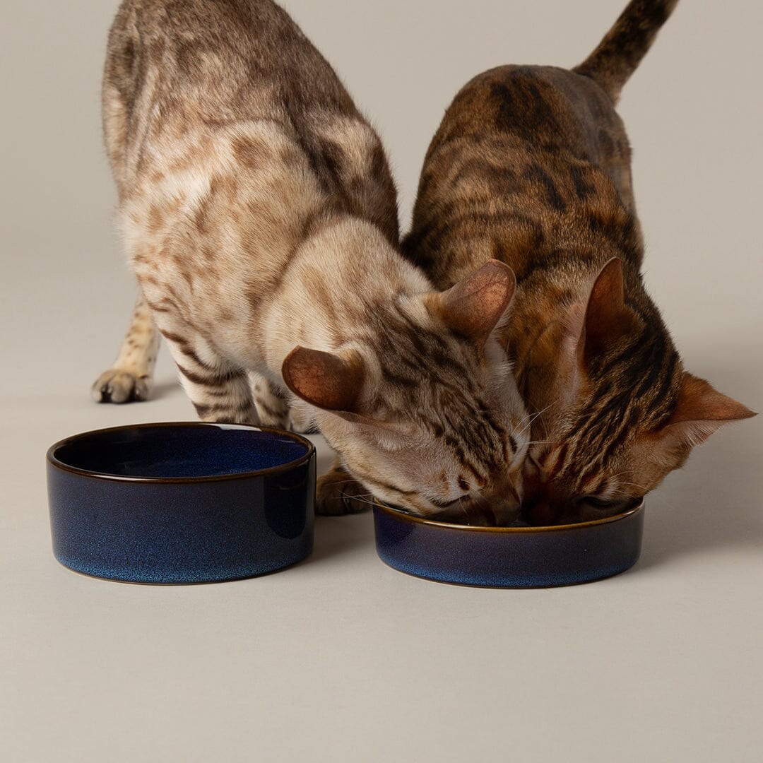 Reactive Glaze 2 Piece Cat Food Bowl & Saucer Set - Midnight Blue Pet Bowls, Feeders & Waterers Scruffs® 