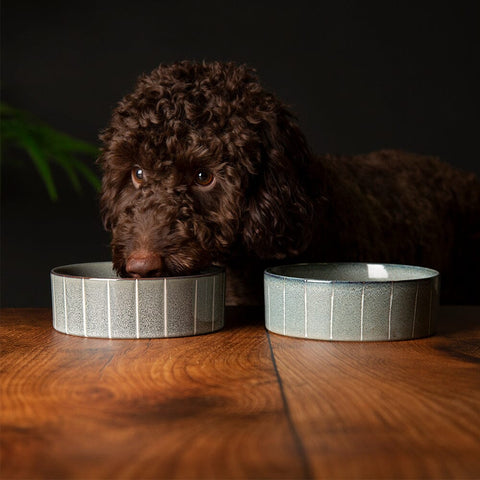 Reactive Glaze 2 Piece Dog Food & Water Bowl Set - Pinstripe Grey Pet Bowls, Feeders & Waterers Scruffs® 