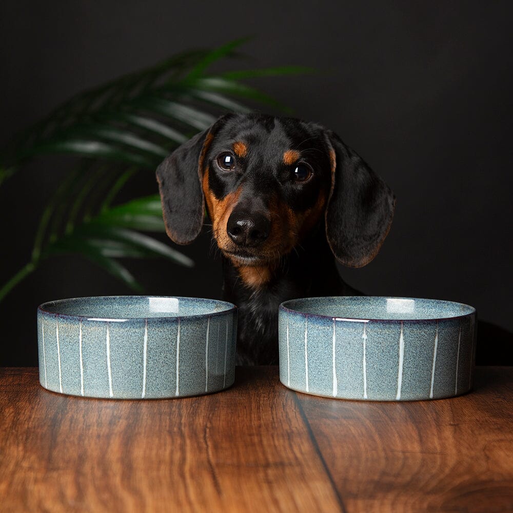 Reactive Glaze 2 Piece Dog Food & Water Bowl Set Pinstripe