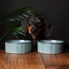 Reactive Glaze 2 Piece Dog Food & Water Bowl Set - Pinstripe Grey Pet Bowls, Feeders & Waterers Scruffs® 13 x 13 x 5cm | 0.4L 
