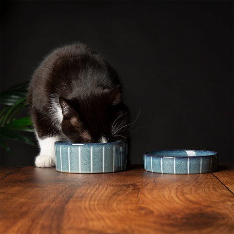 Reactive Glaze 2 Piece Cat Food Bowl & Saucer Set - Pinstripe Grey Pet Bowls, Feeders & Waterers Scruffs® 