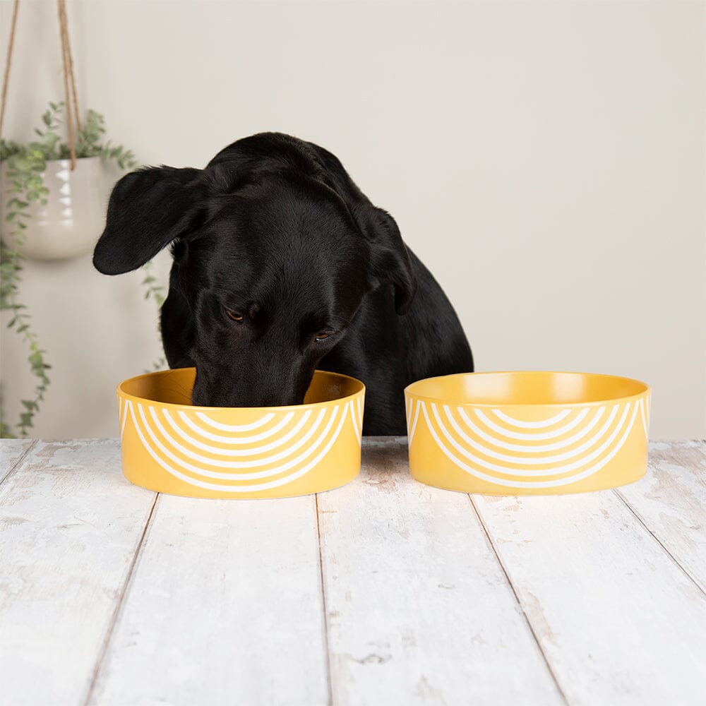 Aztec 2 Piece Dog Bowl Set - Sunflower Yellow