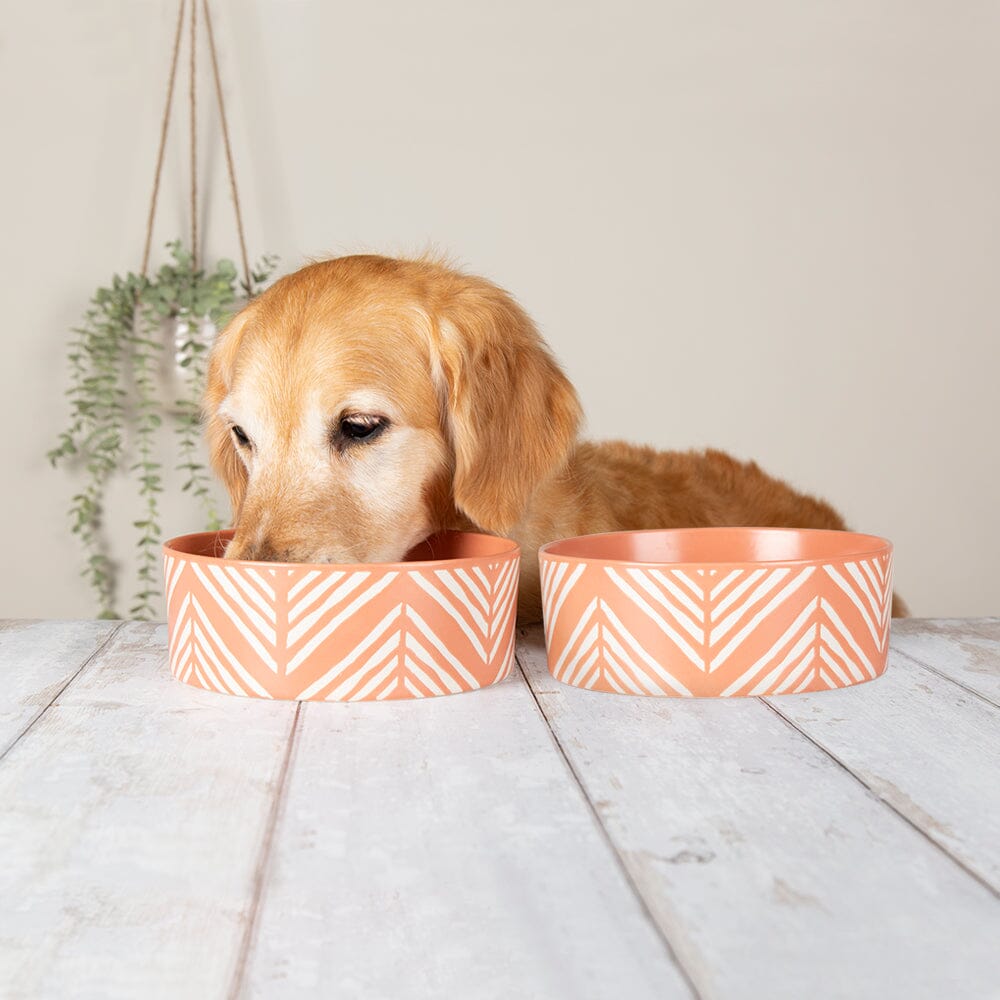 Aztec 2 Piece Dog Food & Water Bowl Set Terracotta