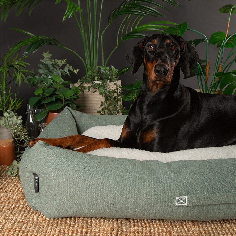 Scruffs Wilton Hundebett Box – Blau, Größe S (50x40x17 Cm) Mit Rutschfester Unterseite