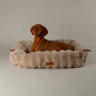 Alpine Box Bed - Champagne Dog Beds Scruffs® 